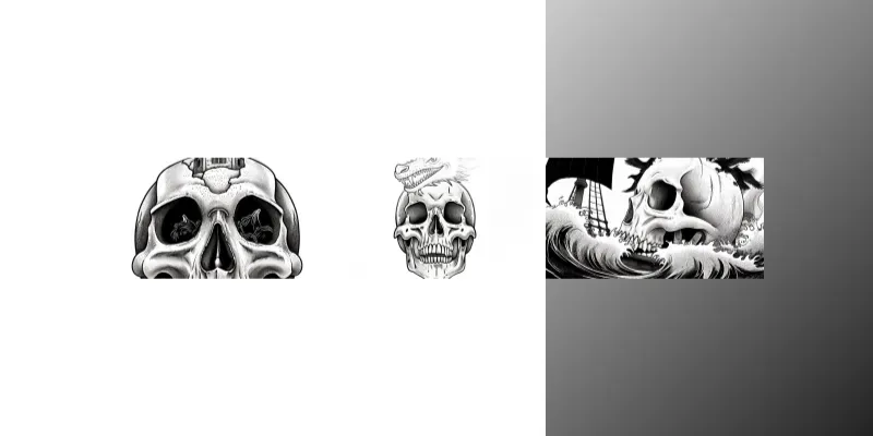 Dark Fantasy Bw Ink Skull Fusion Videos generated by undefined