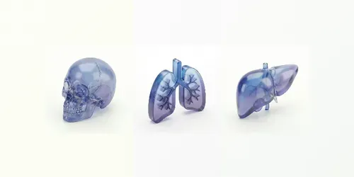 3D Glass Human Anatomy Icons generated by gemini-image