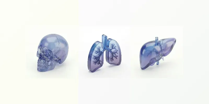 3D Glass Human Anatomy Icons generated by undefined